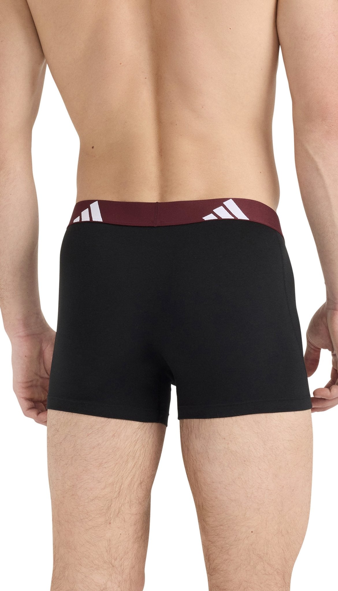 Adidas Pant Assorted