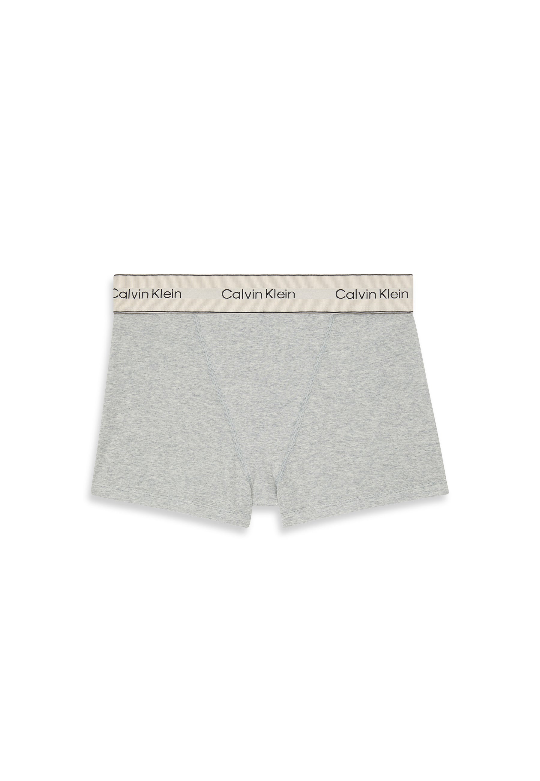 Calvin Klein Slip Pa Grey